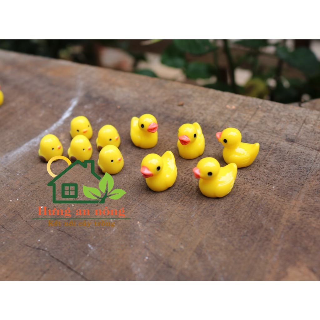 TT18 - SET 10 VỊT MINI phụ liệu trang trí tiểu cảnh sen đá xương rồng cây để bàn