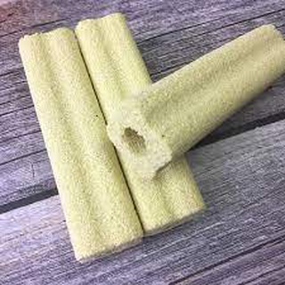 Combo 10 cây sứ lọc nước