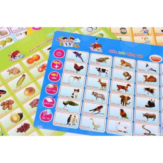 BẢNG ĐỌC SONG NGỮ ANH VIỆT 5 IN 1 | BigBuy360 - bigbuy360.vn