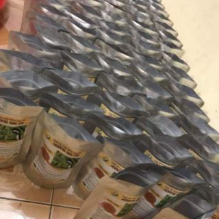 Cám chim chích chòe Hoàng Đại Ca
