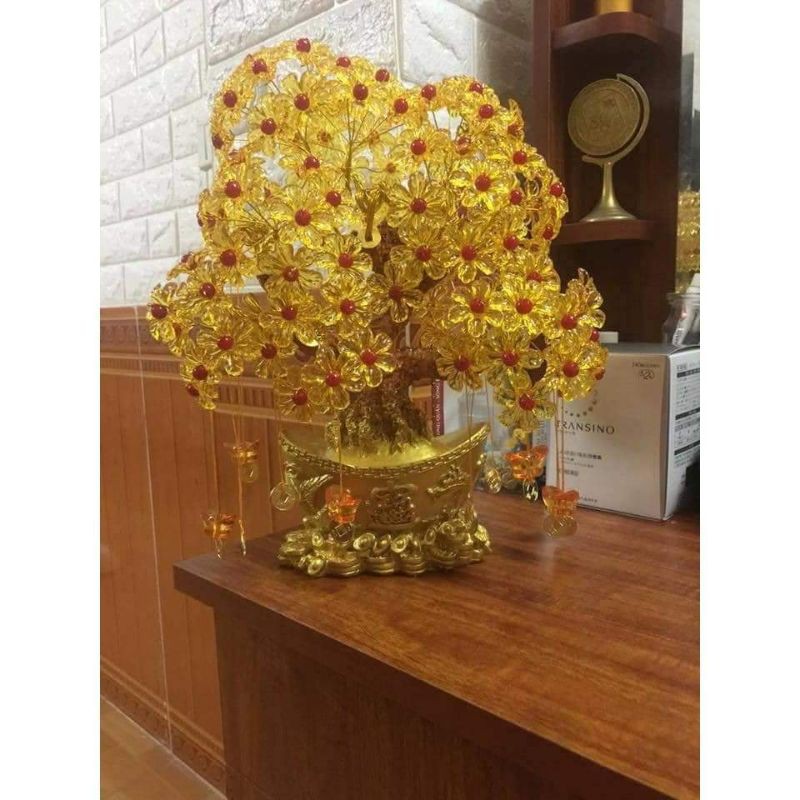 ❤️❤️Cây kim tiền phát tài