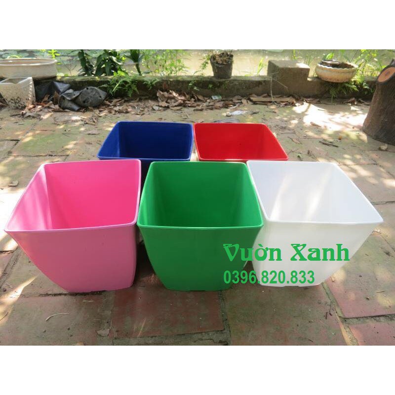 Combo 5 chậu nhựa trồng hoa vuông V16 ( đường kính 15cm)