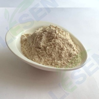 500gr Gói Bột Hành