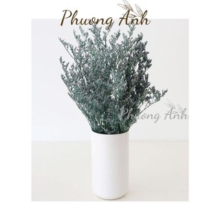Hoa sao khô cắm hoa trang trí, làm handmade, phụ kiện chụp ảnh sản phẩm, hoa cầm tay