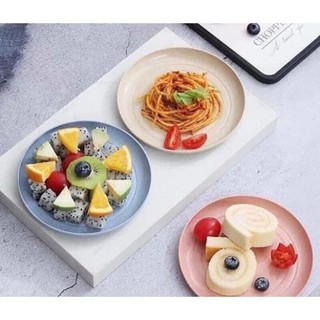 Sét Đĩa Nhựa Lúa Mỳ , COMBO 6 CHIẾC ĐĨA LÚA MẠCH