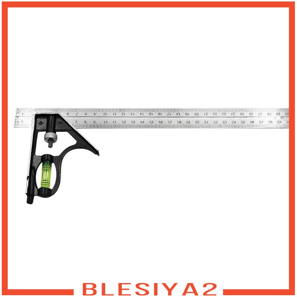 Thước Đo Kỹ Thuật Bằng Thép Không Gỉ 300mm 12 &quot;Blesiya2