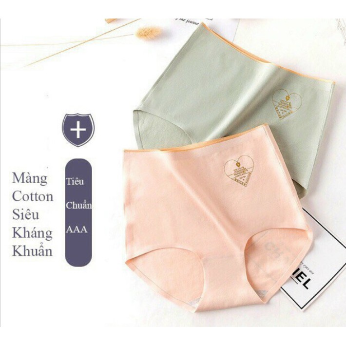 mẫu mới*Quần Lót Cotton 02 Cạp Cao Không Đường May Kháng Khuẩn Chống Viêm - CHILLHOUSE