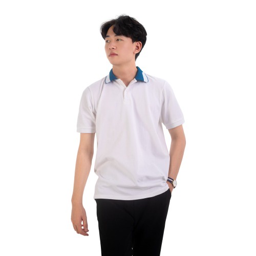 Áo polo nam MODANFIT 100% Cotton Bản PREMIUM không nhăn, thoáng khí -thấm hút tốt PP07