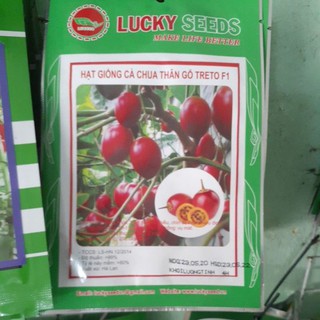HẠT GIỐNG CÀ CHUA THÂN GỖ LUCKY GÓI 4 HẠT