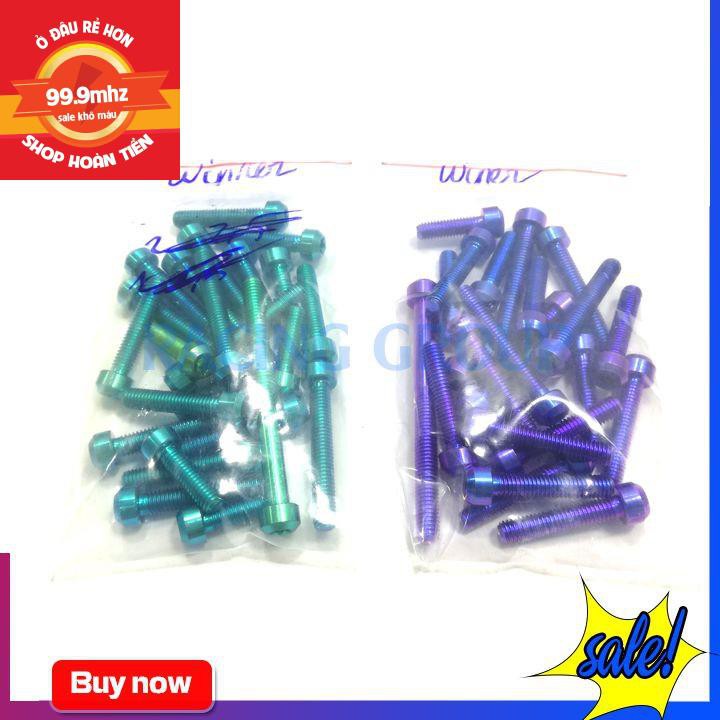 Bộ Ốc Lốc Máy Winner GR5 24 Con