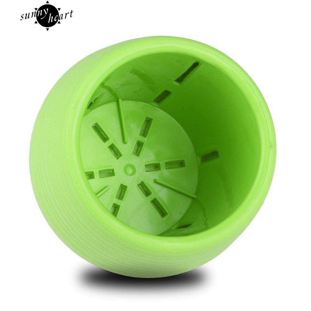 Chậu cây mini có đế hứng nước