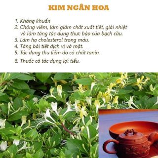 (Combo 3) 5 gói trà HOÀNG THẢO MỘC 500gram
