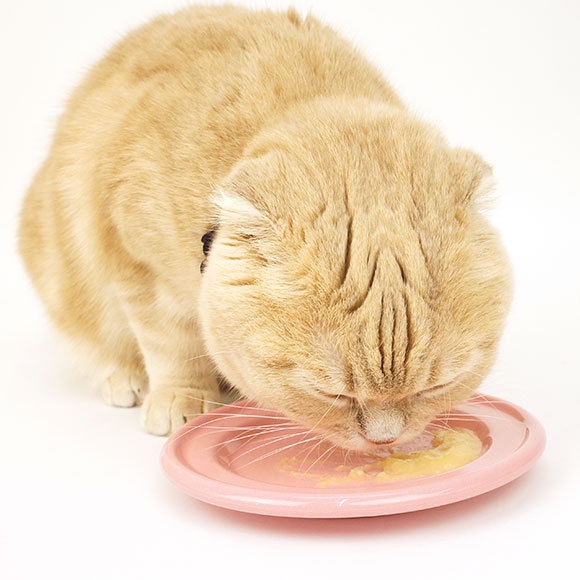 Súp thưởng cho mèo Ciao Churu dạng kem 14g nhiều vị 1 bịch 4 thanh dành cho mèo mọi lứa tuổi PET TOOLS