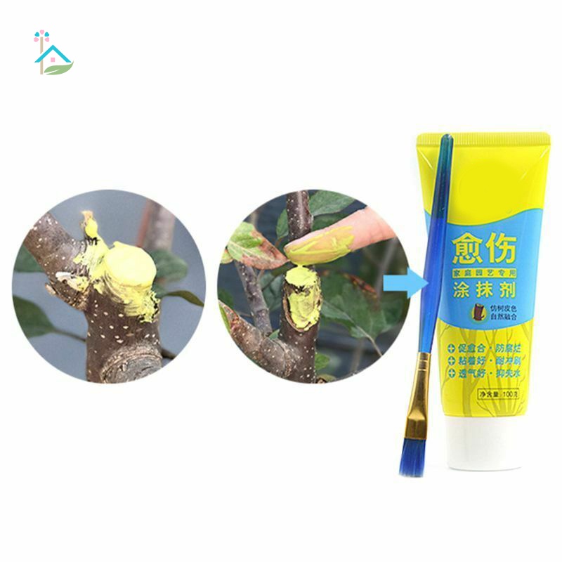 Keo Dán Vết Thương Kèm Bàn Chải Cho Cây Cảnh
