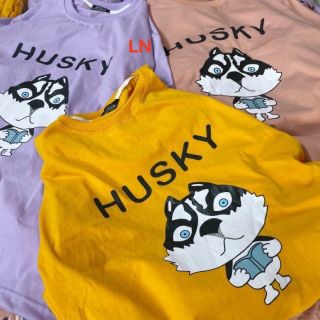 Áo phông chó husky