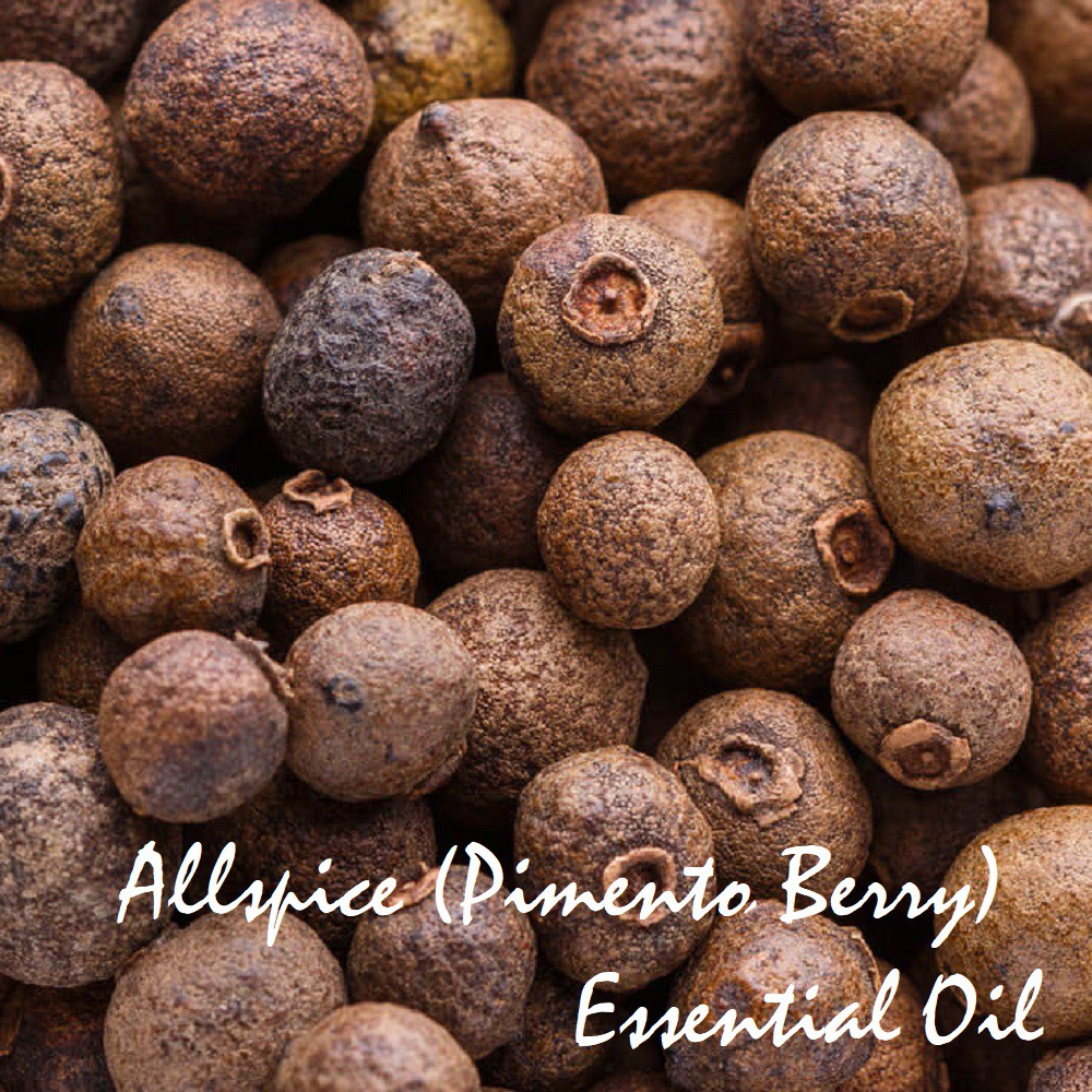 Tinh dầu Allspice Essential Oil (Pimento Berry)