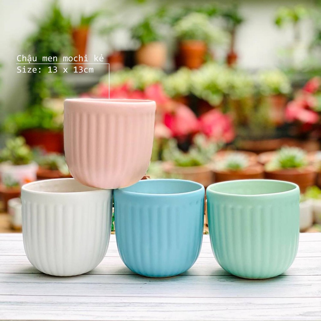 Chậu sứ trồng cây cảnh để bàn 11-13cm dáng bo đáy kẻ sọc