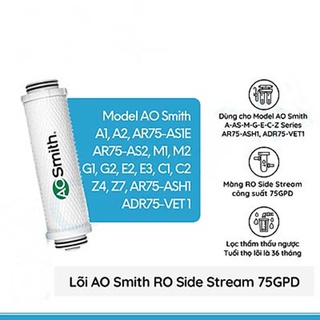 [CHÍNH HÃNG 100%] Lõi lọc nước cho máy AOSMITH E2,E3 [LẮP ĐẶT TPHCM]