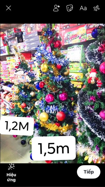 CÂY THÔNG NOEL 1M2,1M5,1M8