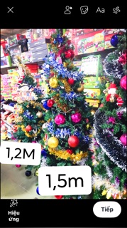 CÂY THÔNG NOEL 1M2,1M5,1M8