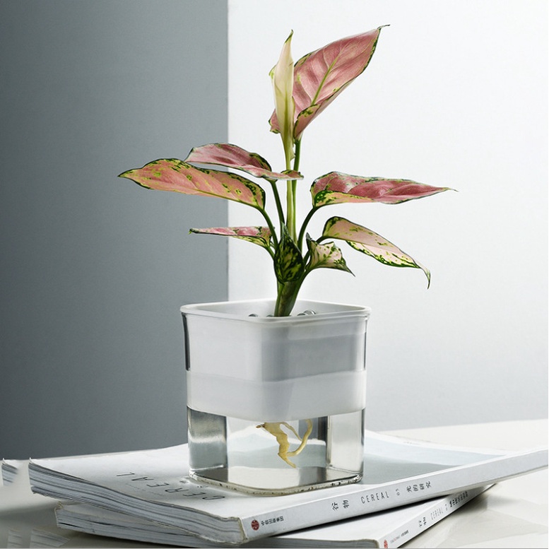 PVN40059 Lọ trồng hoa tự dưỡng