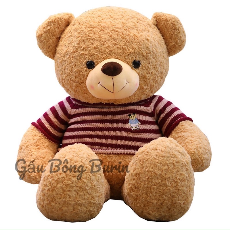 Gấu bông Teddy cao cấp siêu to, teddy lông xoắn hoa hồng mịn