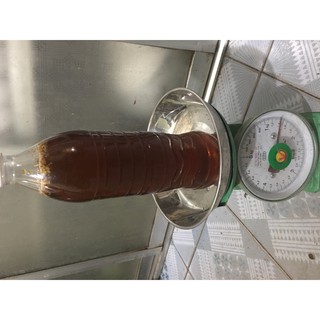 Mật Ong Rừng Tây Bắc 1 lít