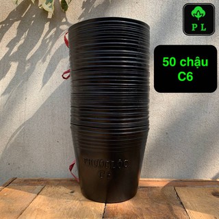 Combo 50 chậu nhựa đen C6
