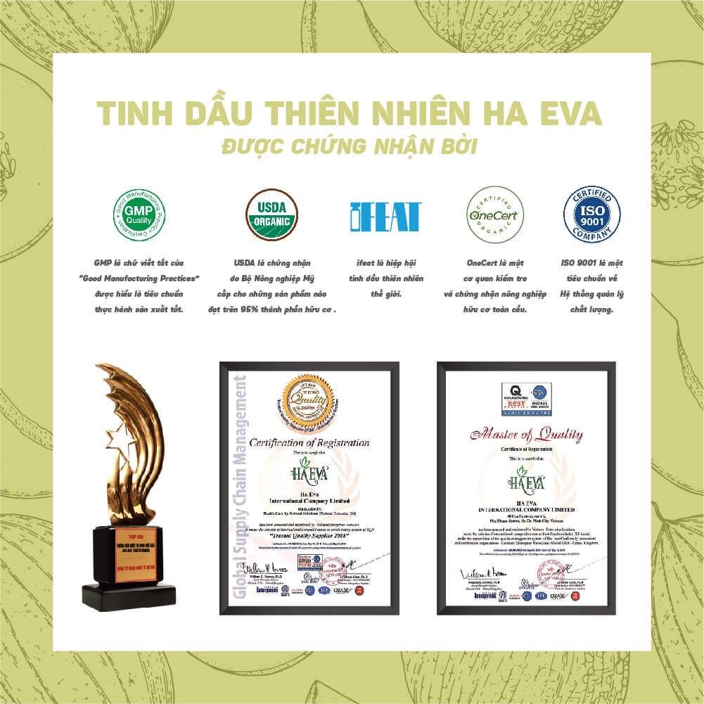 Tinh dầu Xông Dưa Gang Haeva Cao Cấp, 100% Thiên Nhiên, Khử mùi hôi, thanh lọc không khí, Chai 10ml/30m/100ml