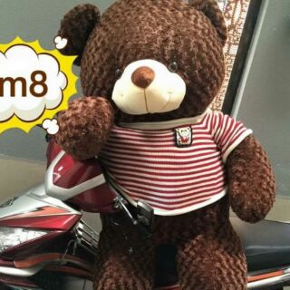 Gấu bông teddy 1m8
