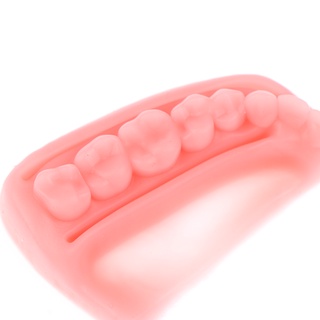 Bộ 4 Mô Hình Răng Giả Độc Đáo