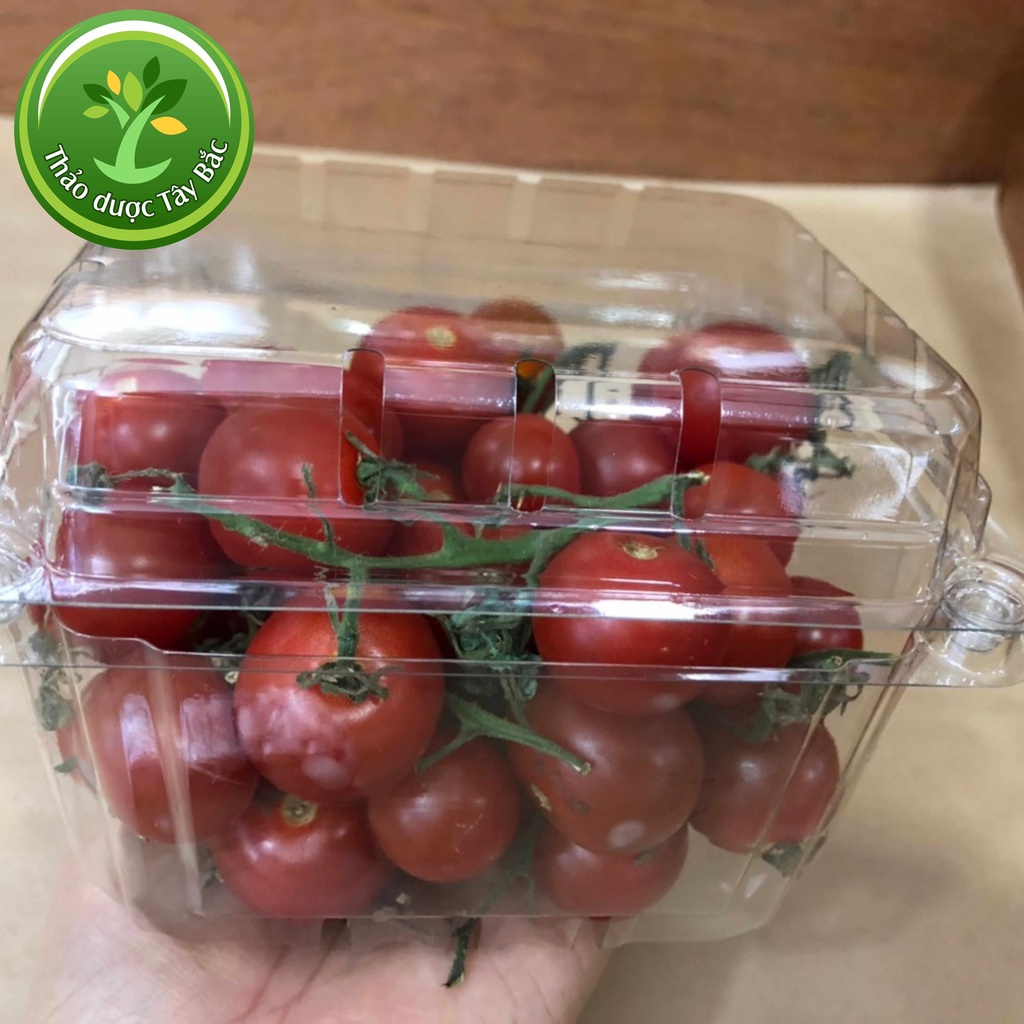 Hộp nhựa đựng trái cây, rau củ quả, thực phẩm, trong suốt an toàn, tiện lợi I Kho Thảo Dược Tây Bắc