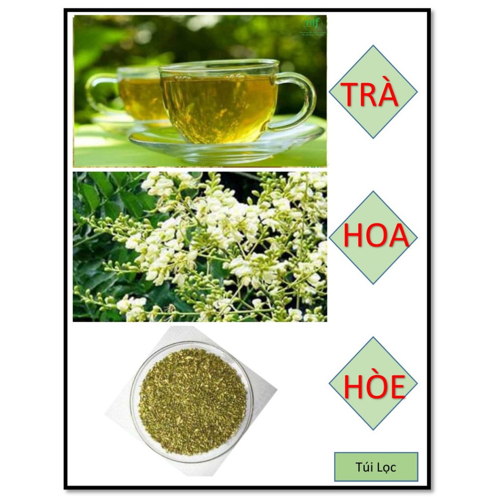 Trà Hoa Hòe - 40 Túi lọc, Thanh Nhiệt, Ổn Định Huyết Áp