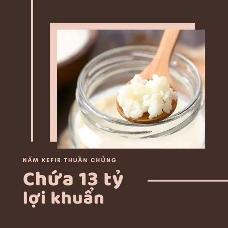 NẤM SỮA CHUA KEFIR - BẢO HÀNH NẤM KHỎE