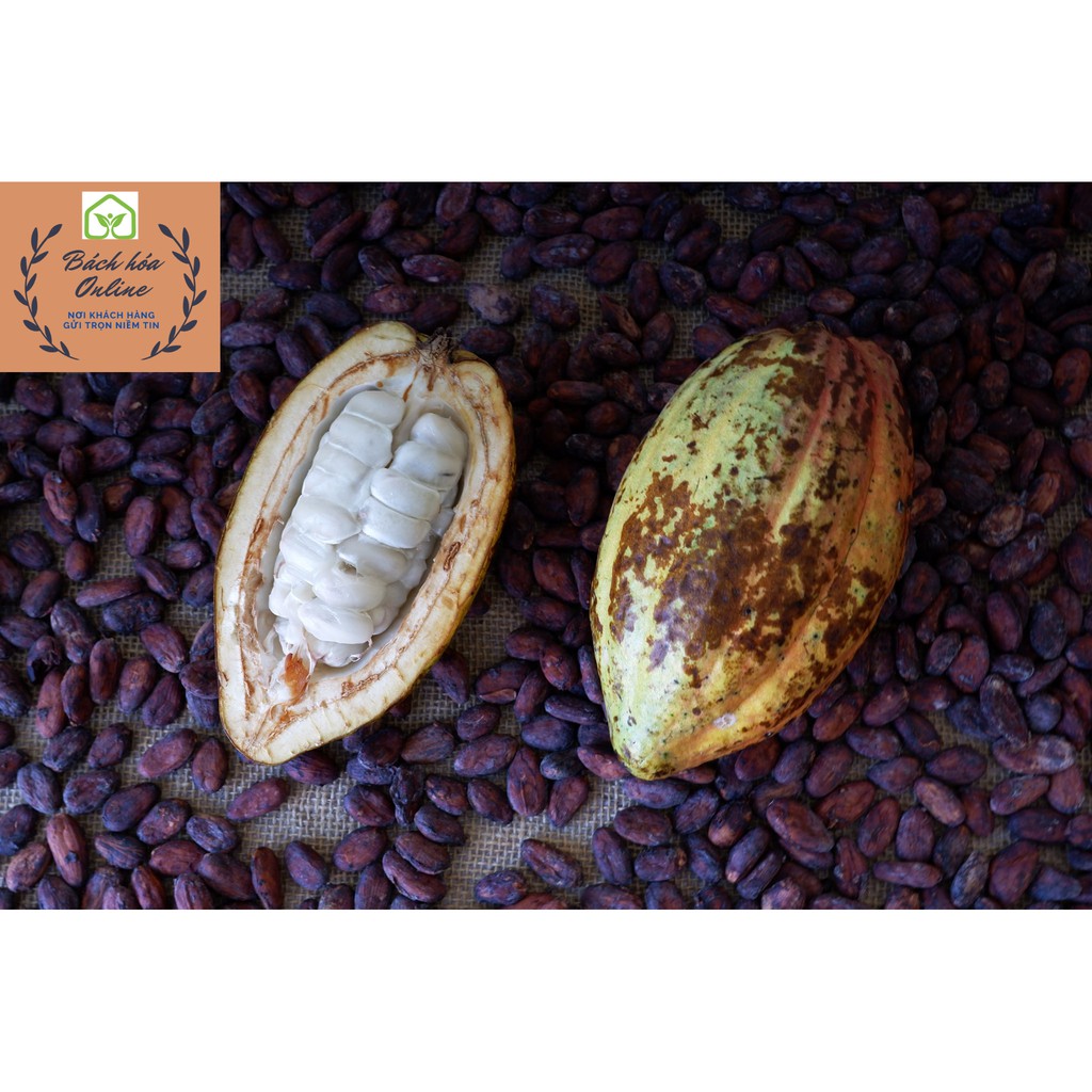 Bột cacao nguyên chất nhập khẩu Indo, chuẩn UTZ - 500g, giúp giảm cân và tăng cường dinh dưỡng | LepStore