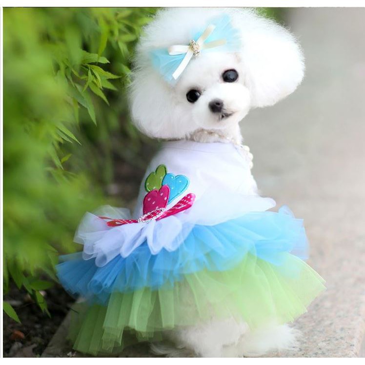 Váy Váy Cho Chó Thú Cưng