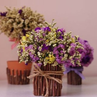 (HỘP HOA_THIỆP QUÀ TẶNG) hoa khô decor màu xanh, tím, đỏ, vàng. bó hoa nhỏ phụ kiện trang trí chụp ảnh đẹp