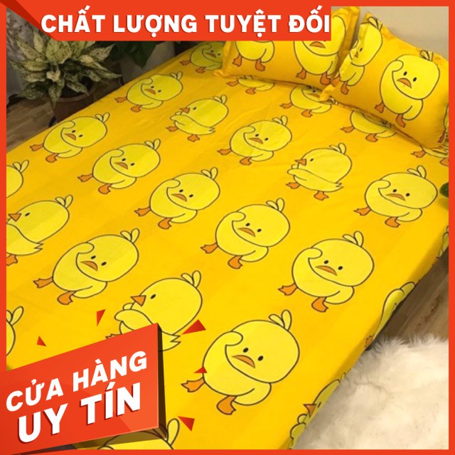 [ GIÁ HỦY DIỆT ] Bộ ga kèm đôi vỏ gối poly cotton siêu ngộ nghĩnh m6 hoặc m8 (được chọn mẫu)