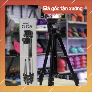 [Trợ giá] Chân máy chụp hình cho điện thoại, máy ảnh Tripod 3120 và Tặng Remote bluetooth