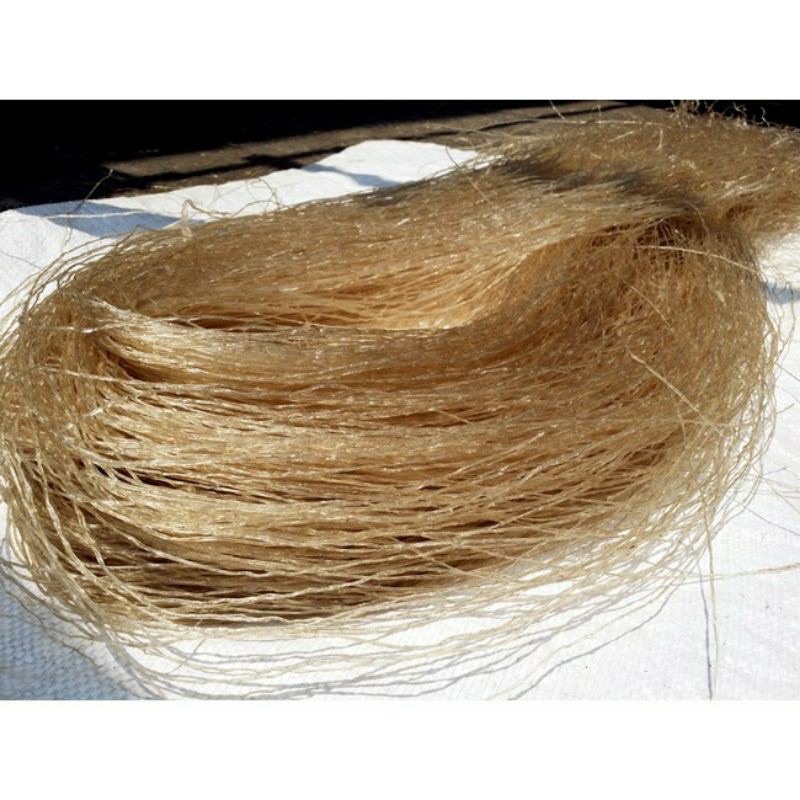 Miến dong phia đén cao bằng 2kg