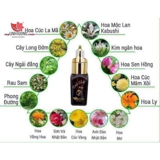 Tinh chất nám linh hương(hàng chính hãng)