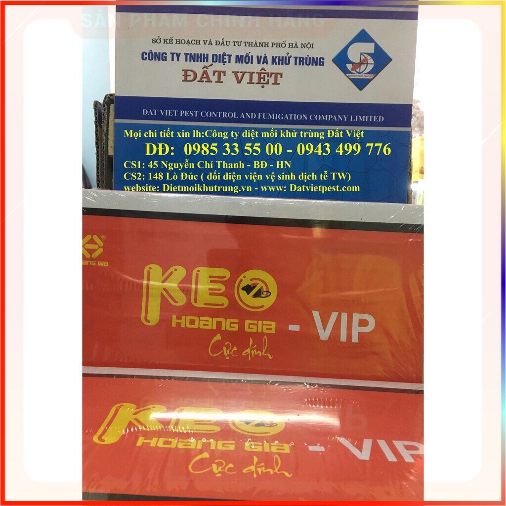 (Giá Rẻ) Combo 2 chiếc keo dính chuột bằng gỗ ( sản xuất bởi vua diệt chuột Quang Thiều )