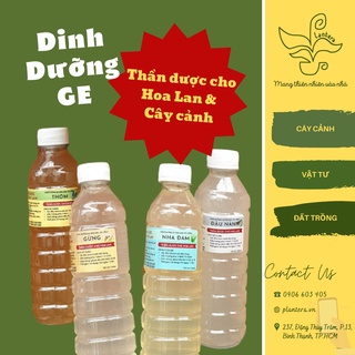Dịch Chuối, Phân bón GE Nguyên chất cho Hoa Lan & Cây cảnh: Thơm, Nha đam, Gừng, Đậu Nành, Chuối