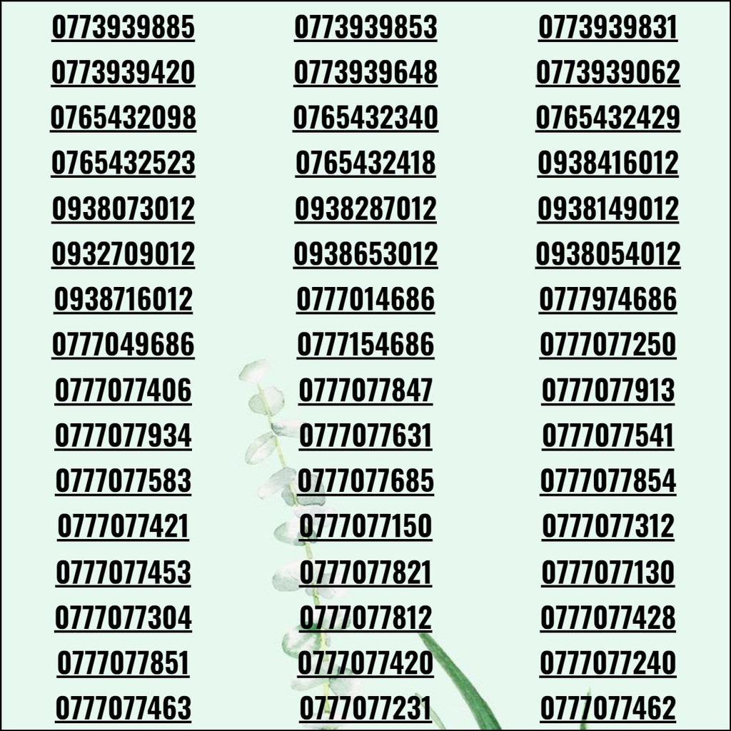 Sim số đẹp, sim 3G/4G/5G giá rẻ phong tiến khuyến mãi vĩnh viễn có thể sảnh tiến, tứ quý, lộc phát max data