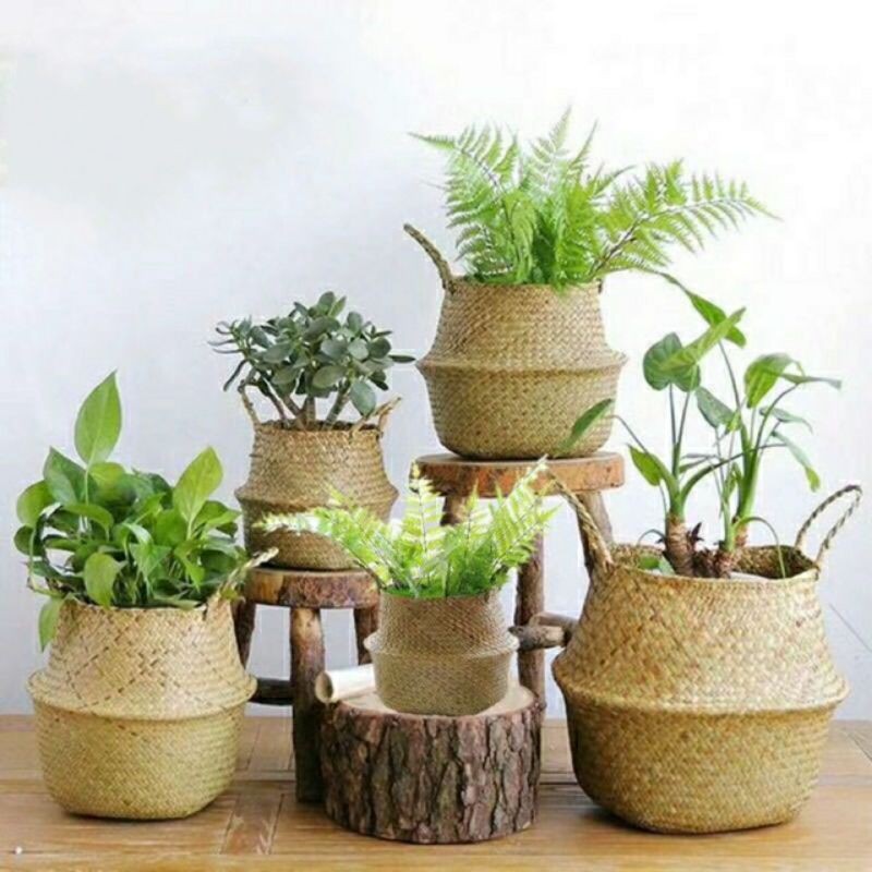 Giỏ cói trơn trồng cây/decor/đựng quần áo/đựng vật dụng nhỏ, Hàng XK Châu Âu