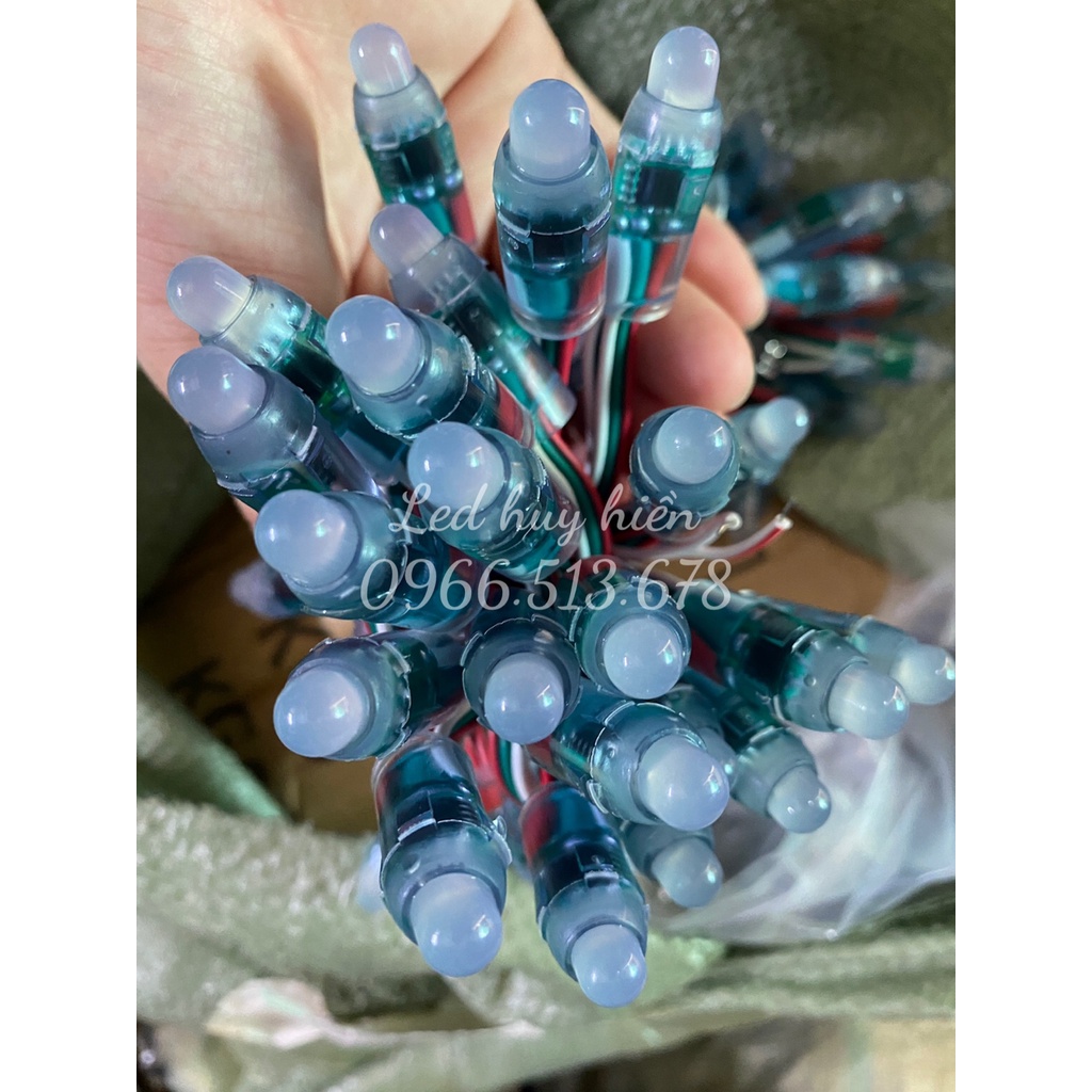 Led Full IC 1903, 2811, 1916, 8206 ngoài trời, led đúc F8 full color (Dây 50 LED)