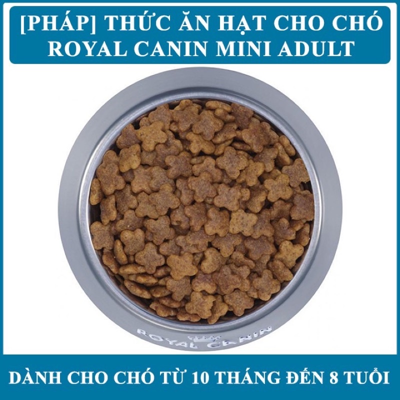 Thức ăn cho giống chó nhỏ trưởng thành Royal Mini Adult 800g,2kg Thương hiệu từ Pháp