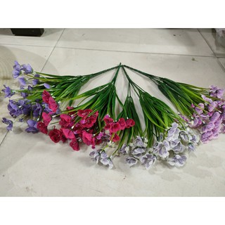 Cành điểm hoa cánh bướm