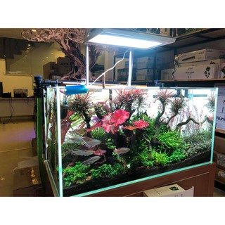 Tấm nền Light Screen YBB cho bể thủy sinh (30cm, 45cm, 60cm)