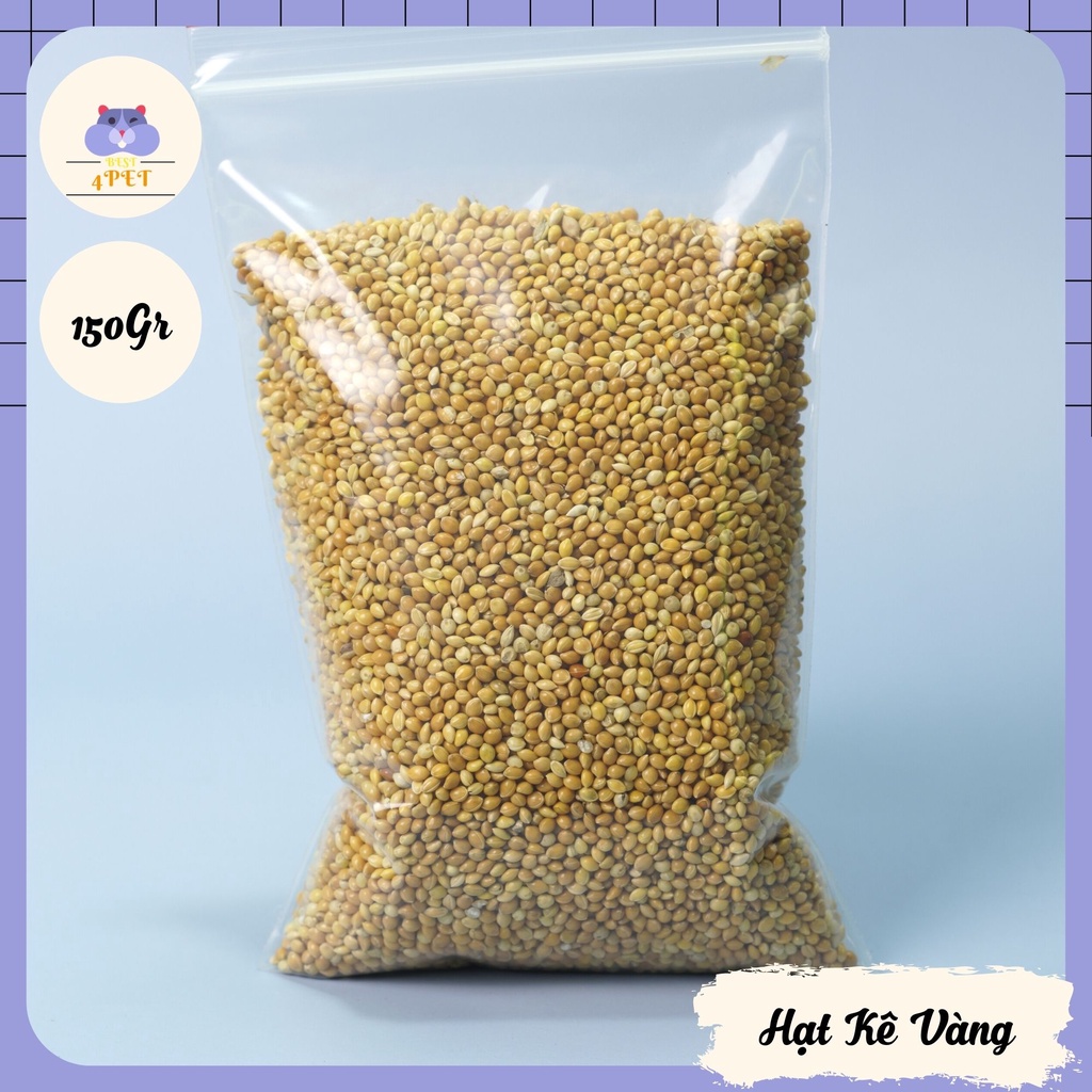Hạt Kê Vàng cho Hamster
